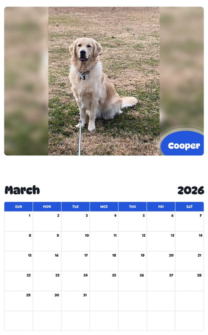 November 2025 - October 2026 Cooper - Pawidols Pet Calendar