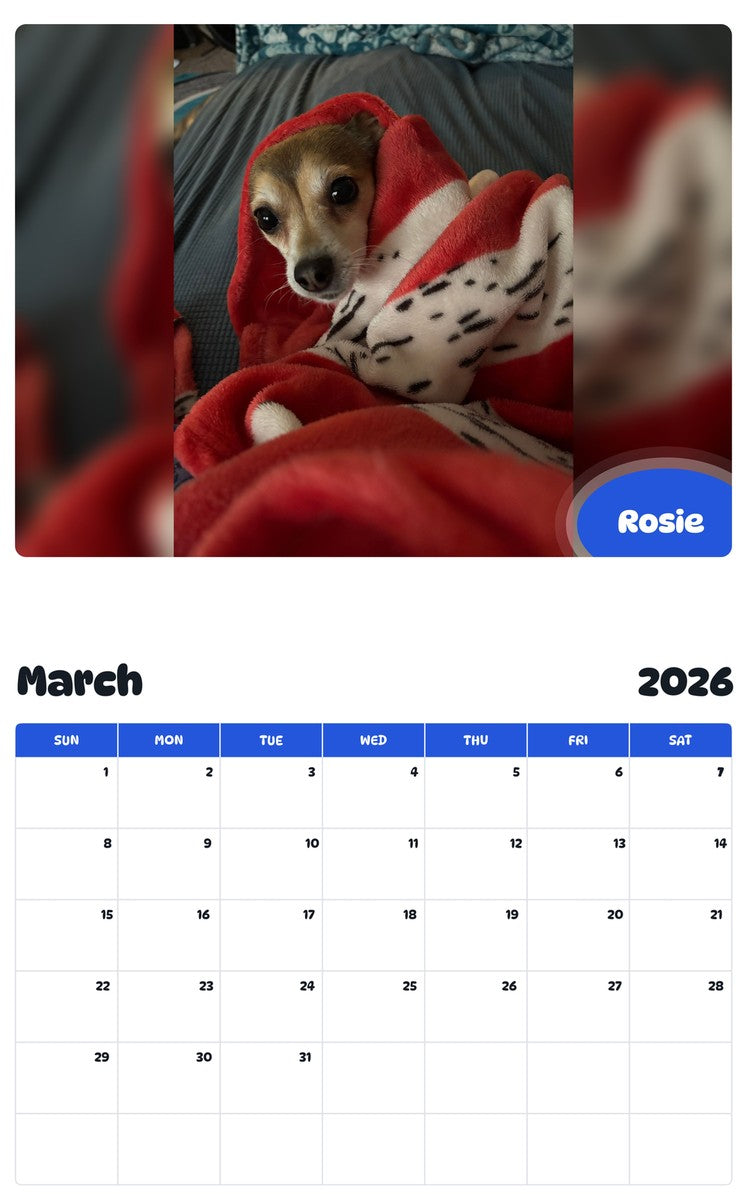 November 2025 - October 2026 Rosie - Pawidols Pet Calendar