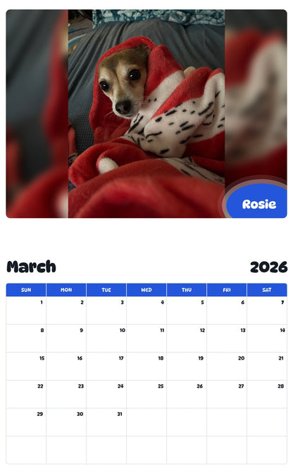 November 2025 - October 2026 Rosie - Pawidols Pet Calendar