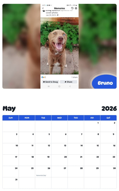 2026 - 2027 Bruno - Pawidols Pet Calendar