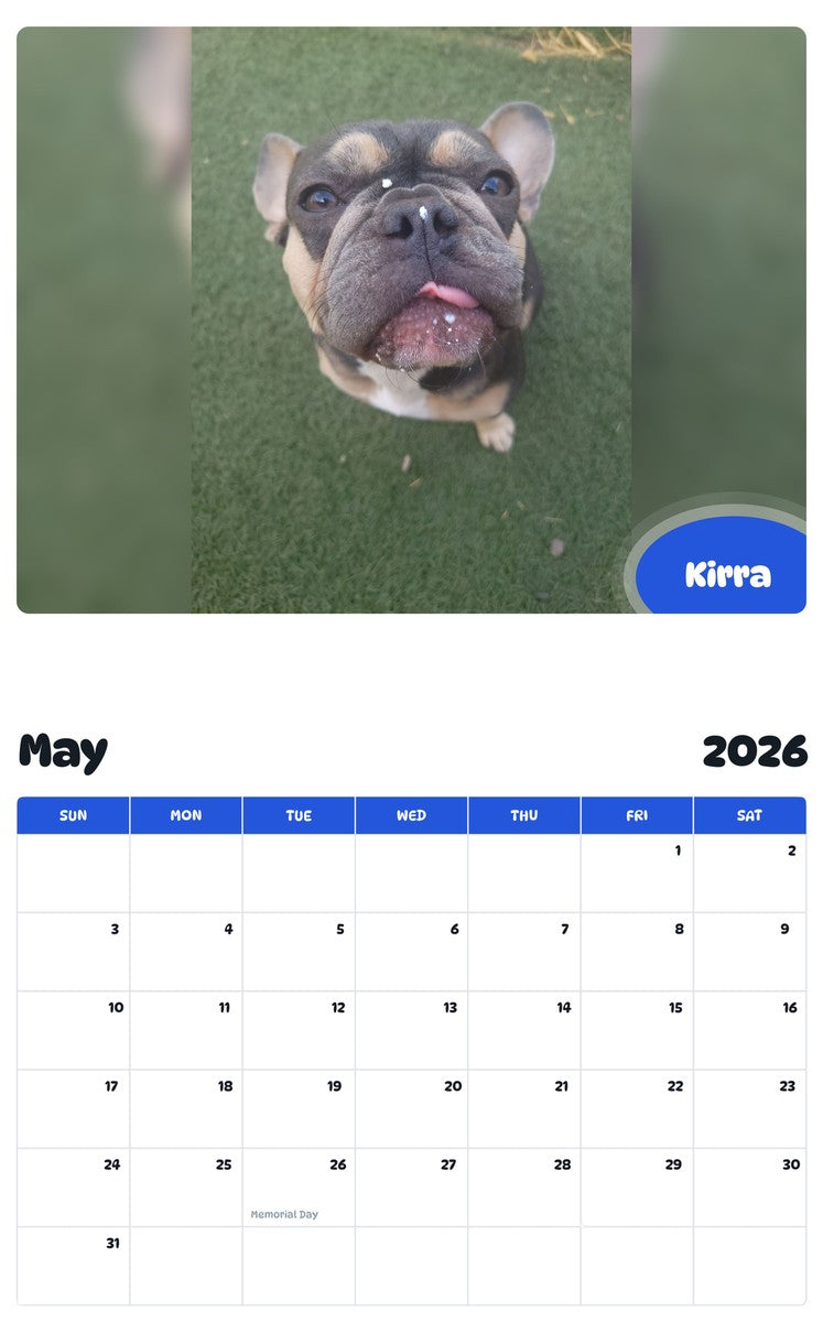 2026 - 2027 Kirra - Pawidols Pet Calendar