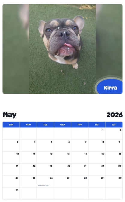 2026 - 2027 Kirra - Pawidols Pet Calendar