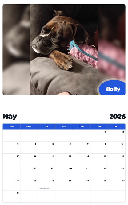 2026 - 2027 Holly - Pawidols Pet Calendar