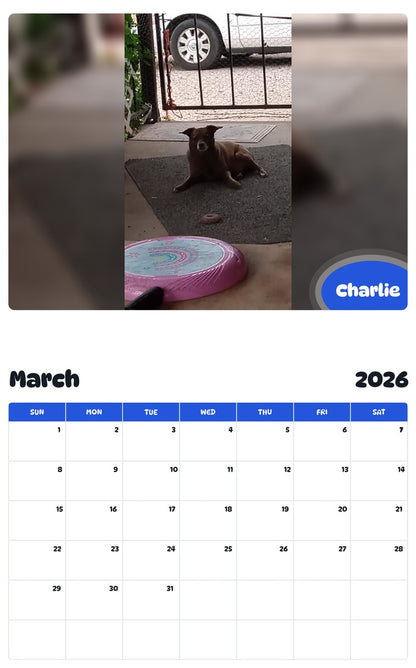 November 2025 - October 2026 Charlie - Pawidols Pet Calendar