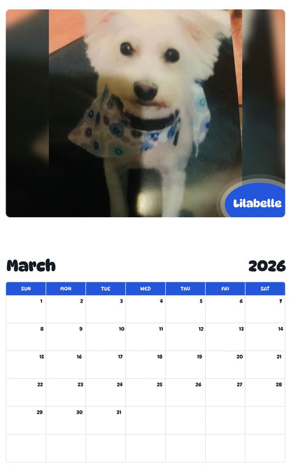 November 2025 - October 2026 Lilabelle - Pawidols Pet Calendar