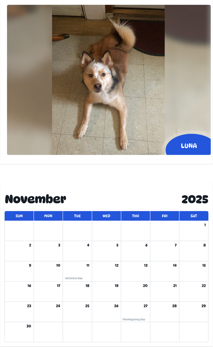 July 2025 - June 2026 Luna - Pawidols Pet Calendar