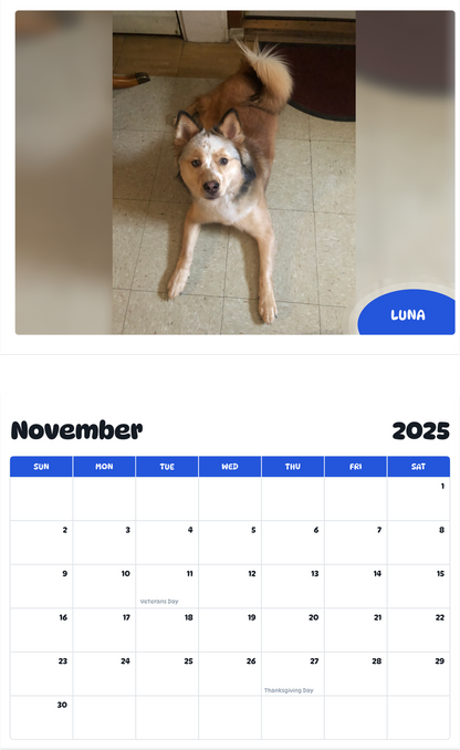 July 2025 - June 2026 Luna - Pawidols Pet Calendar