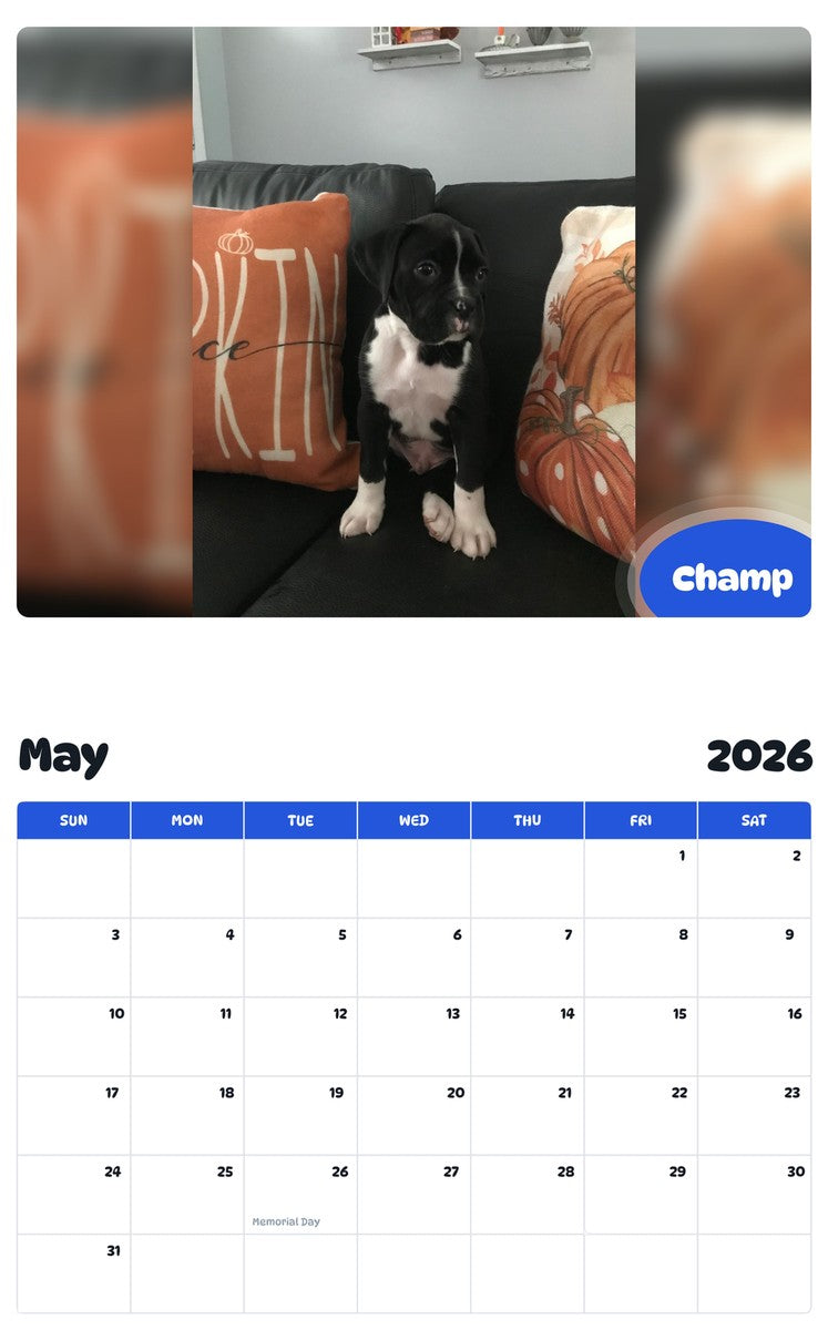 2026 - 2027 Champ - Pawidols Pet Calendar