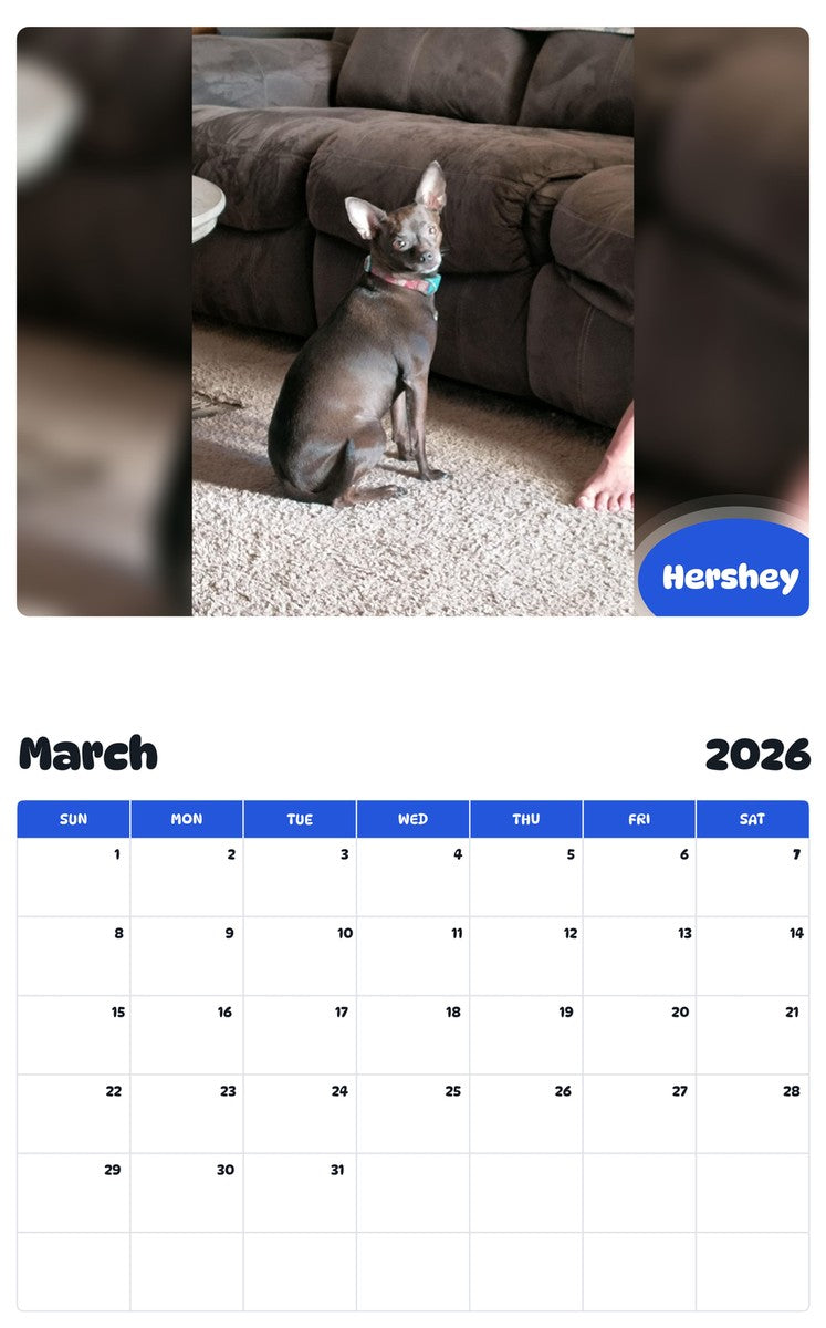 November 2025 - October 2026 Hershey - Pawidols Pet Calendar