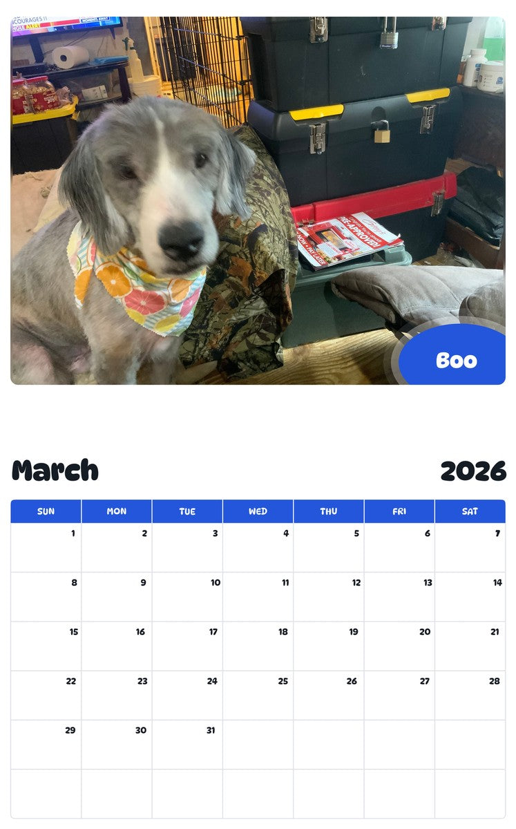 November 2025 - October 2026 Boo - Pawidols Pet Calendar