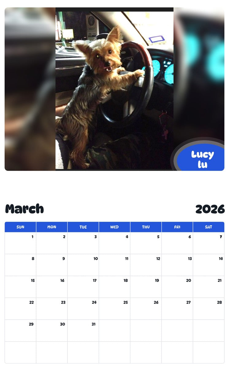 November 2025 - October 2026 Lucy lu - Pawidols Pet Calendar