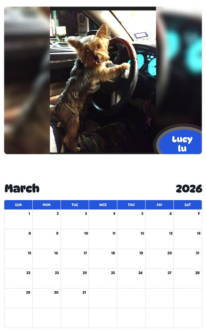 November 2025 - October 2026 Lucy lu - Pawidols Pet Calendar