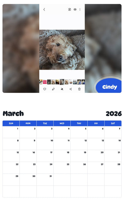 November 2025 - October 2026 Cindy - Pawidols Pet Calendar