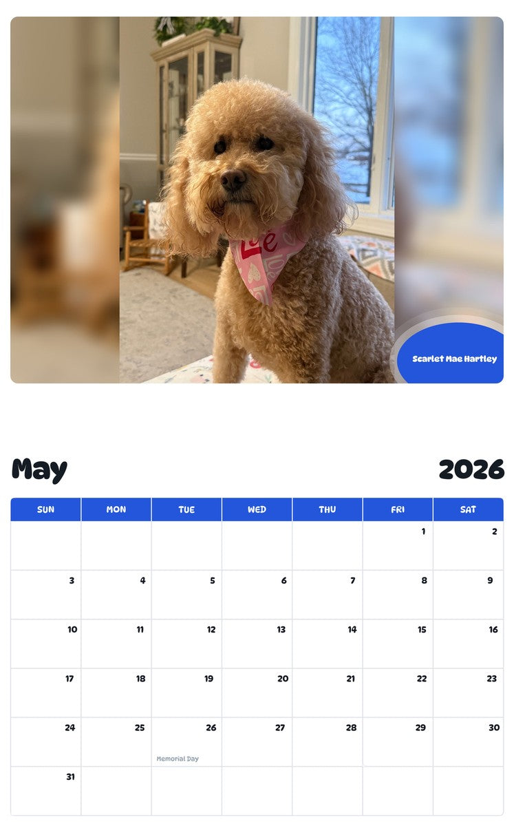 2026 - 2027 Scarlet Mae Hartley - Pawidols Pet Calendar
