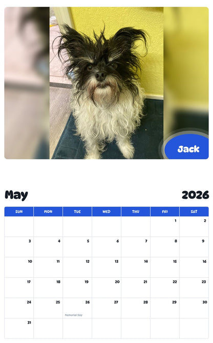 2026 - 2027 Jack - Pawidols Pet Calendar