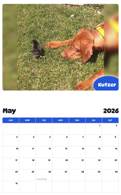 2026 - 2027 Kutzer - Pawidols Pet Calendar