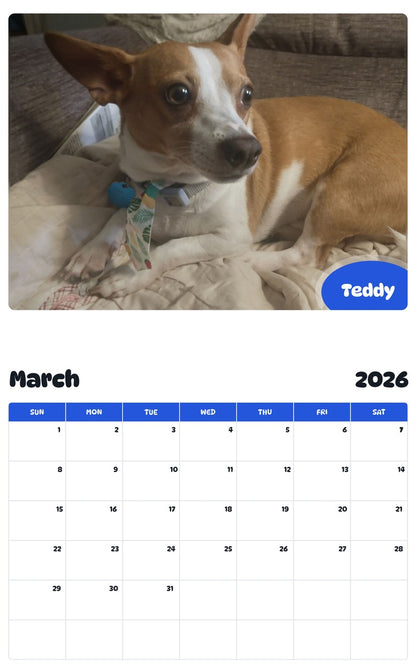 November 2025 - October 2026 Teddy - Pawidols Pet Calendar