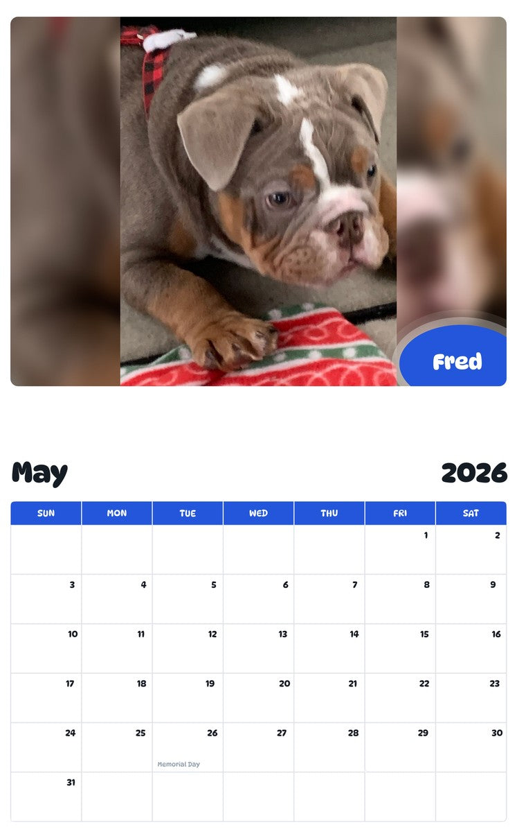 2026 - 2027 Fred - Pawidols Pet Calendar