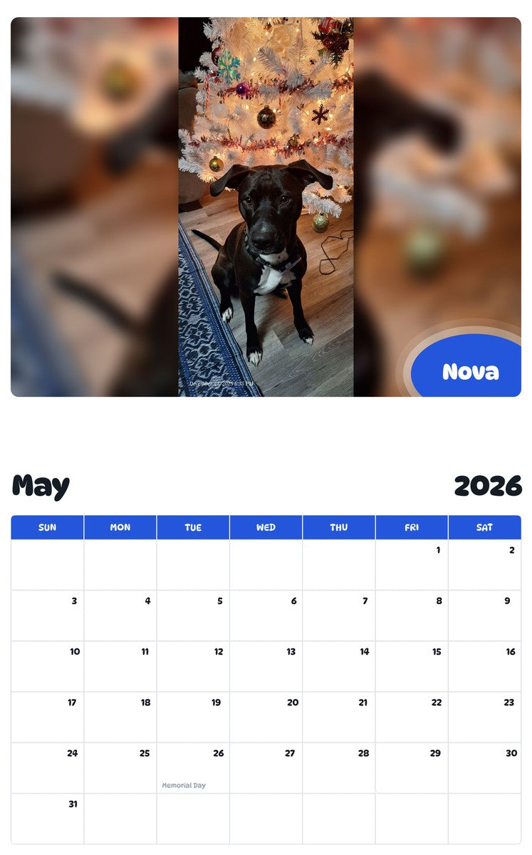 2026 - 2027 Nova - Pawidols Pet Calendar