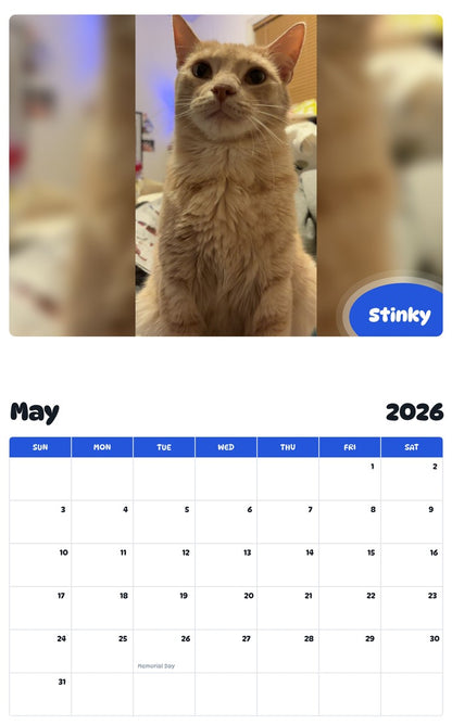 2026 - 2027 Stinky - Pawidols Pet Calendar