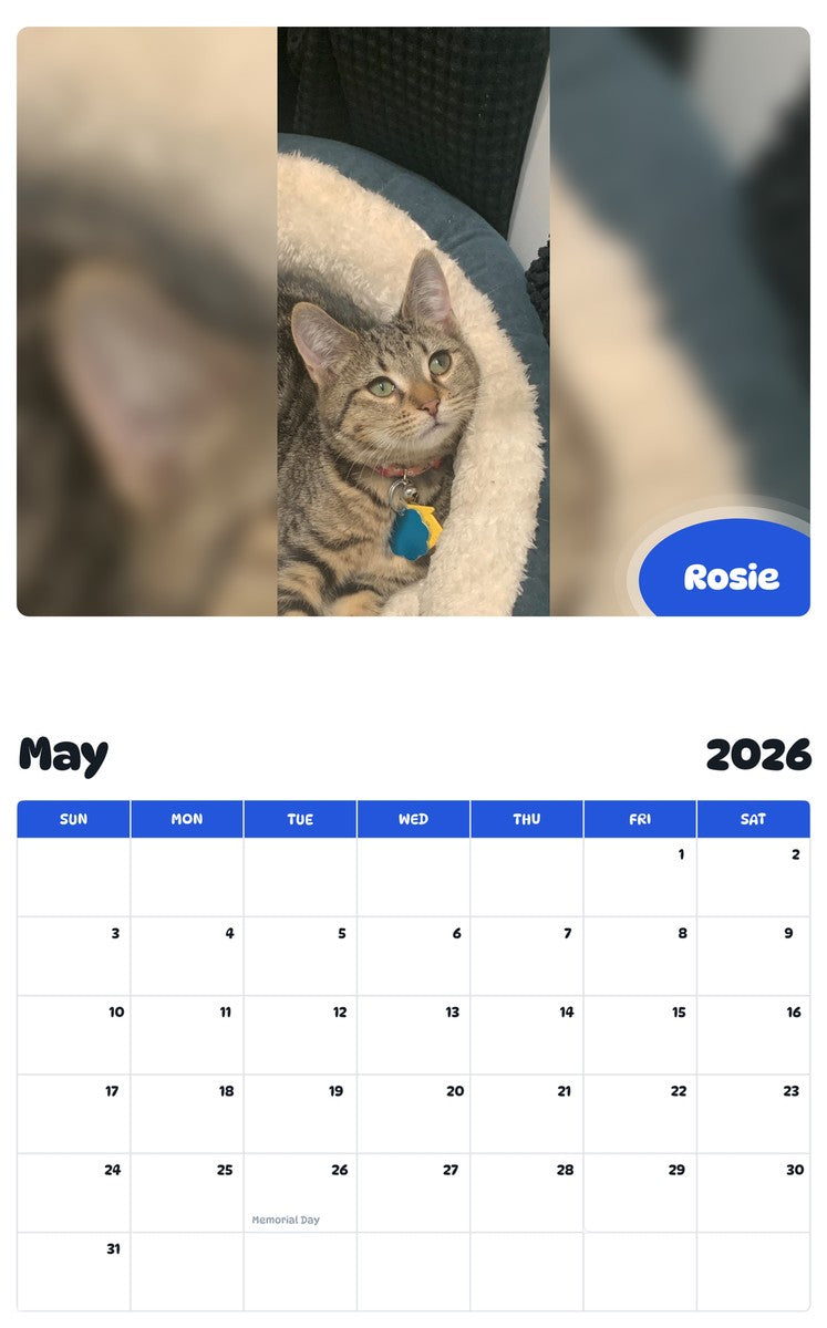 2026 - 2027 Rosie - Pawidols Pet Calendar