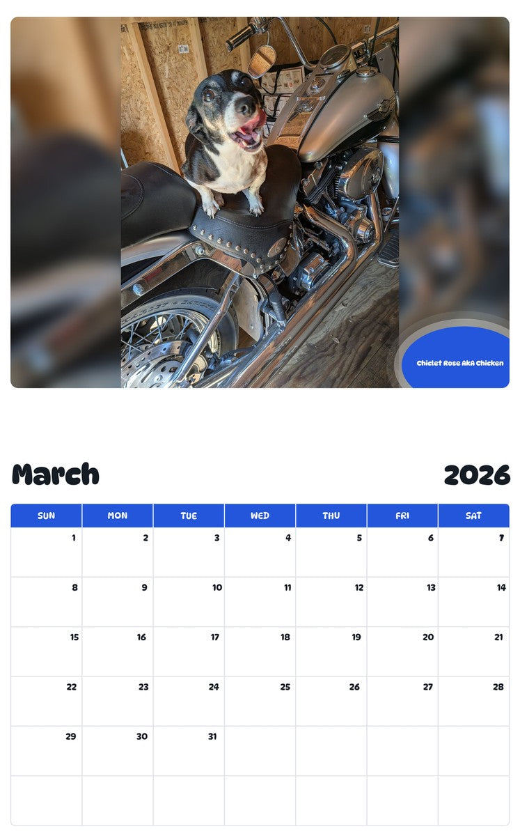 November 2025 - October 2026 Chiclet Rose AkA Chicken - Pawidols Pet Calendar