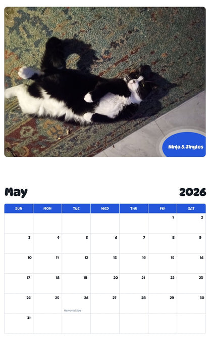2026 - 2027 Ninja & Jingles - Pawidols Pet Calendar