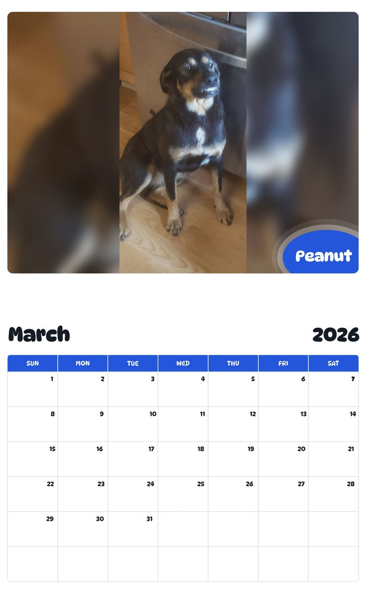 November 2025 - October 2026 Peanut - Pawidols Pet Calendar