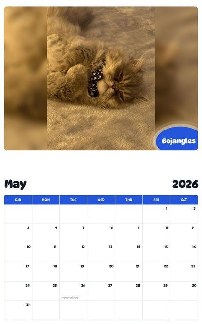 2026 - 2027 Bojangles - Pawidols Pet Calendar
