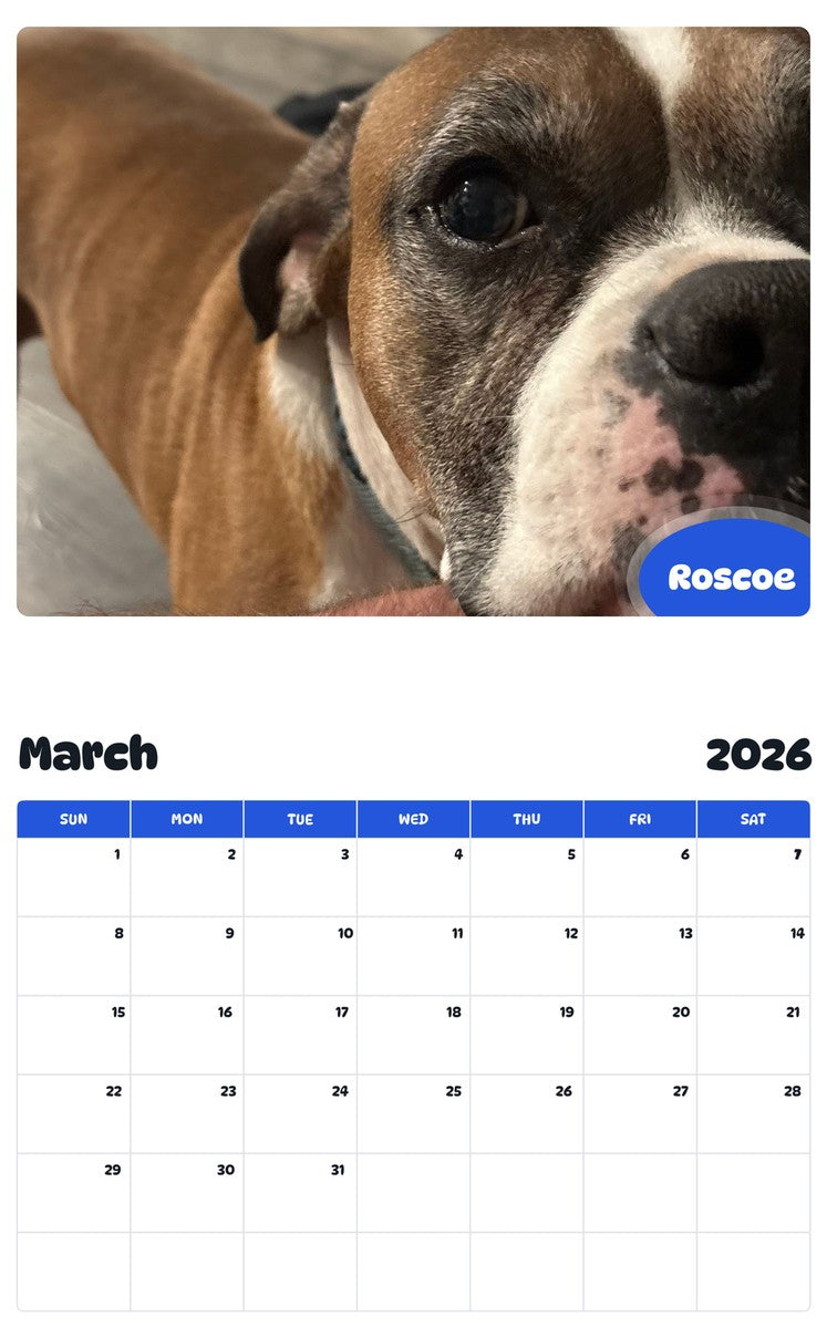 November 2025 - October 2026 Roscoe - Pawidols Pet Calendar