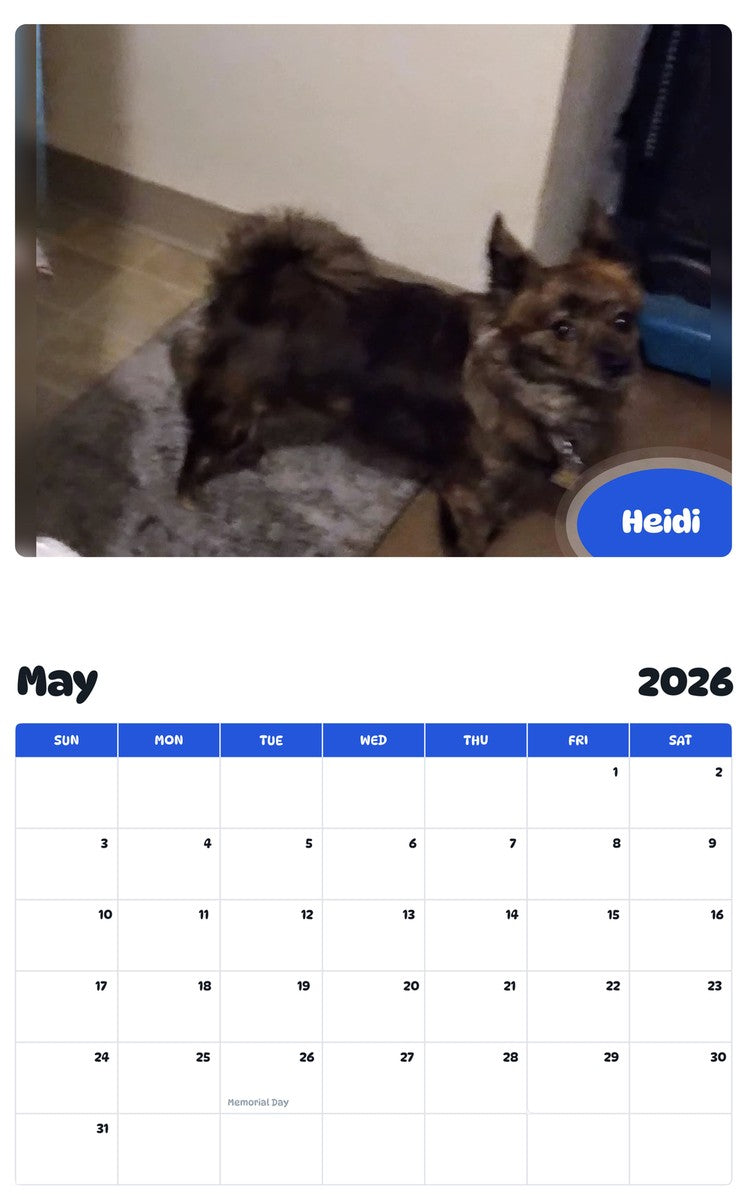 2026 - 2027 Heidi - Pawidols Pet Calendar