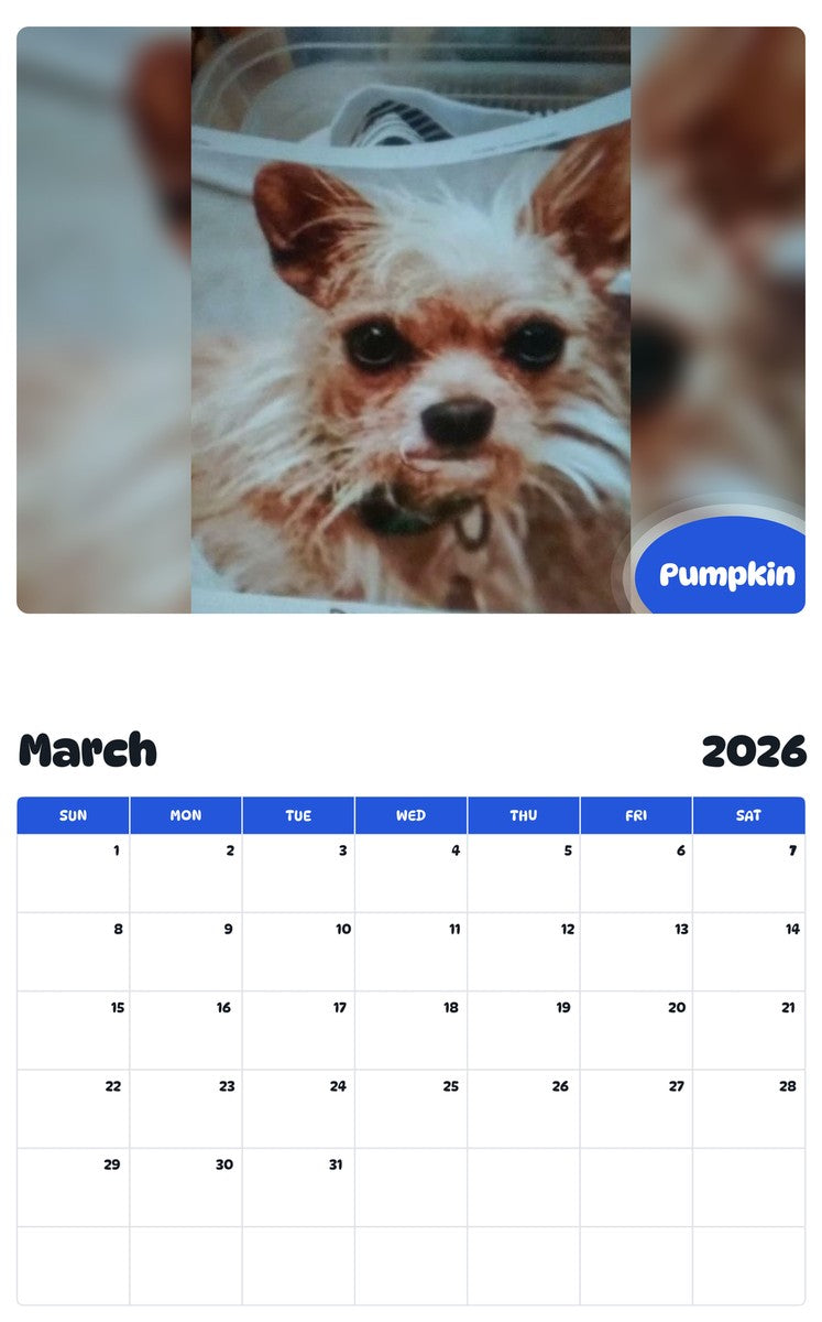November 2025 - October 2026 Pumpkin - Pawidols Pet Calendar