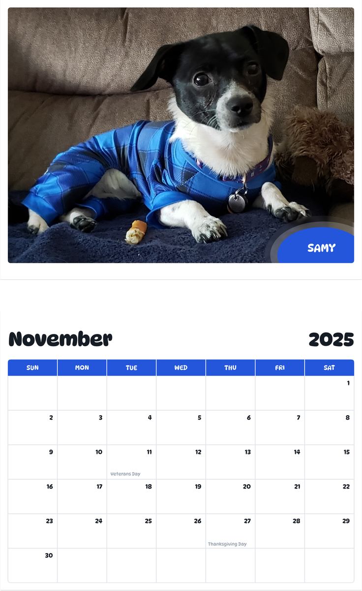 July 2025 - June 2026 Samy - Pawidols Pet Calendar