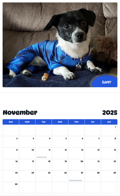 July 2025 - June 2026 Samy - Pawidols Pet Calendar