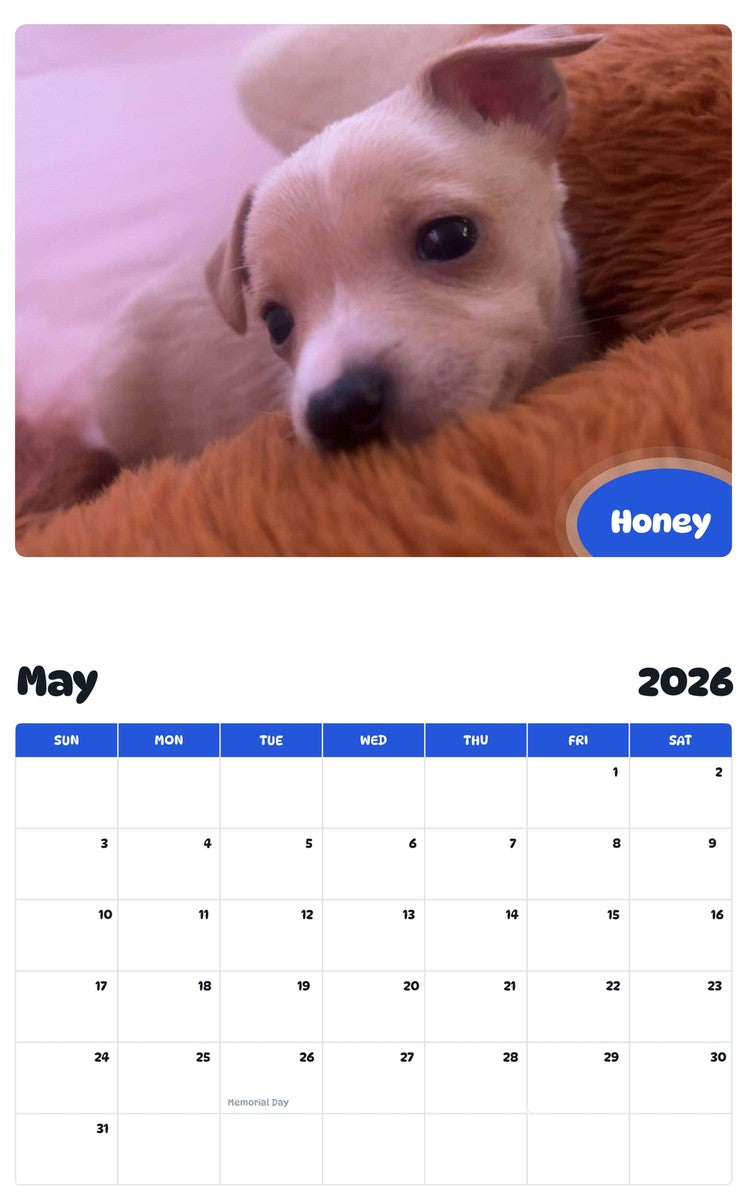2026 - 2027 Honey - Pawidols Pet Calendar
