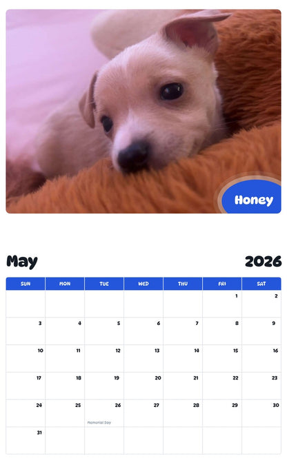 2026 - 2027 Honey - Pawidols Pet Calendar