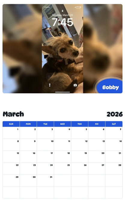 November 2025 - October 2026 Bobby - Pawidols Pet Calendar