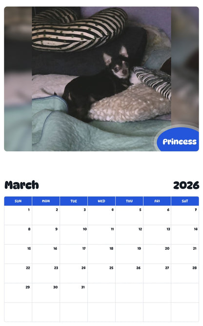 November 2025 - October 2026 Princess - Pawidols Pet Calendar