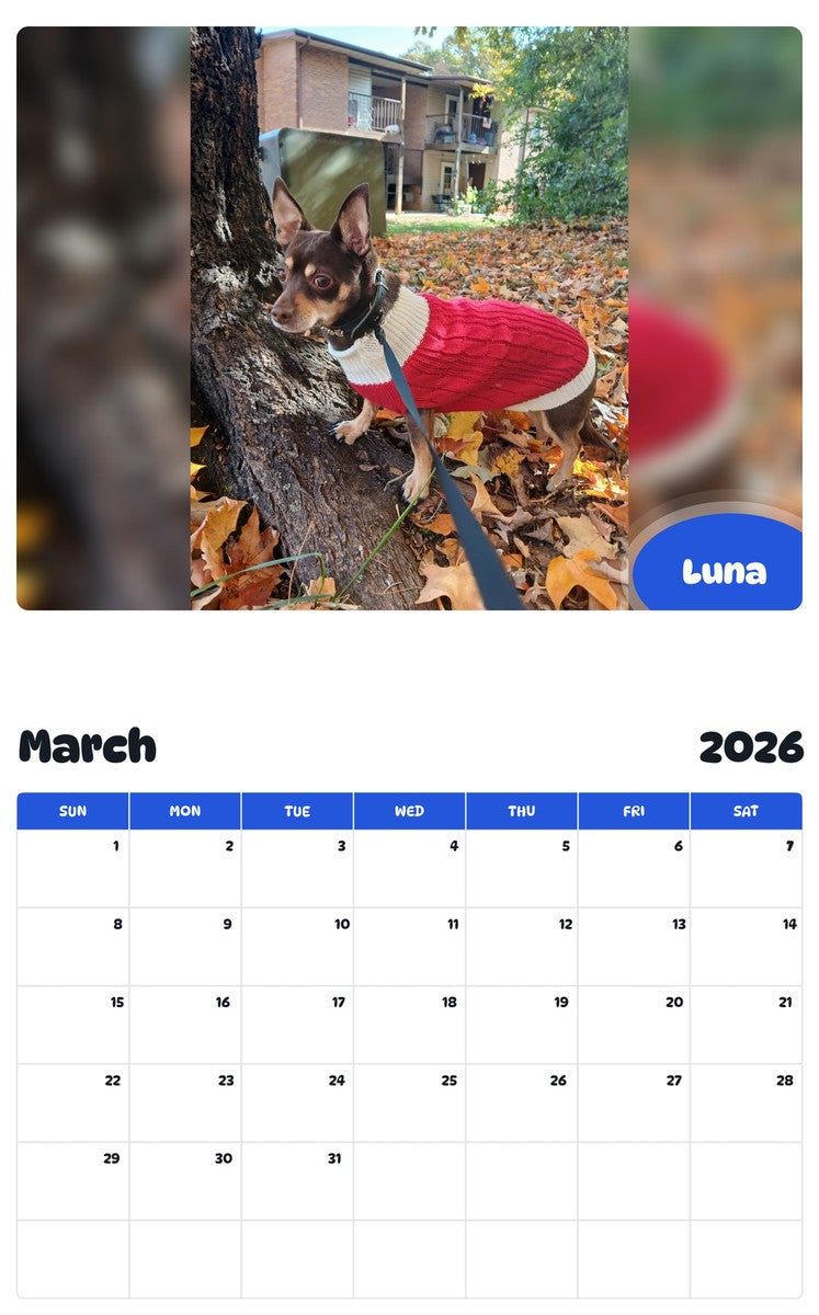 November 2025 - October 2026 Luna - Pawidols Pet Calendar