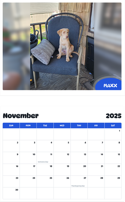 July 2025 - June 2026 Maxx - Pawidols Pet Calendar