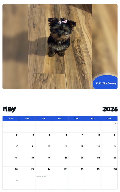 2026 - 2027 KoKo Dior Dorsey - Pawidols Pet Calendar