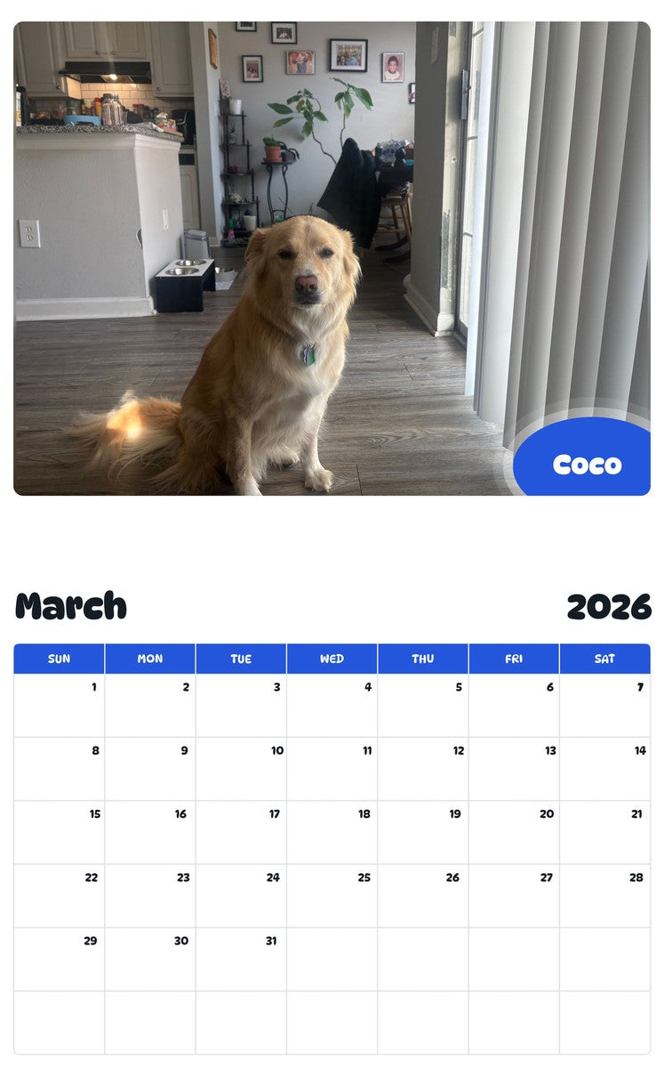 November 2025 - October 2026 Coco - Pawidols Pet Calendar