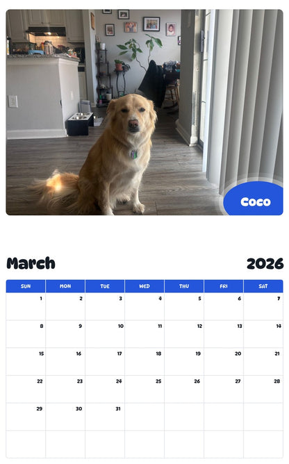 November 2025 - October 2026 Coco - Pawidols Pet Calendar