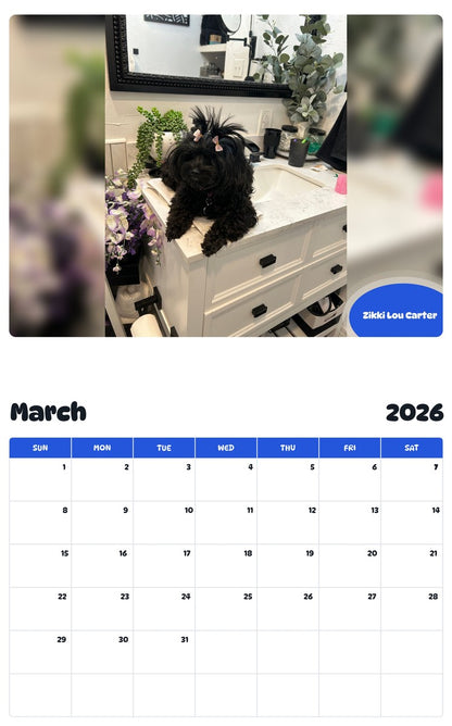 November 2025 - October 2026 Zikki Lou Carter - Pawidols Pet Calendar