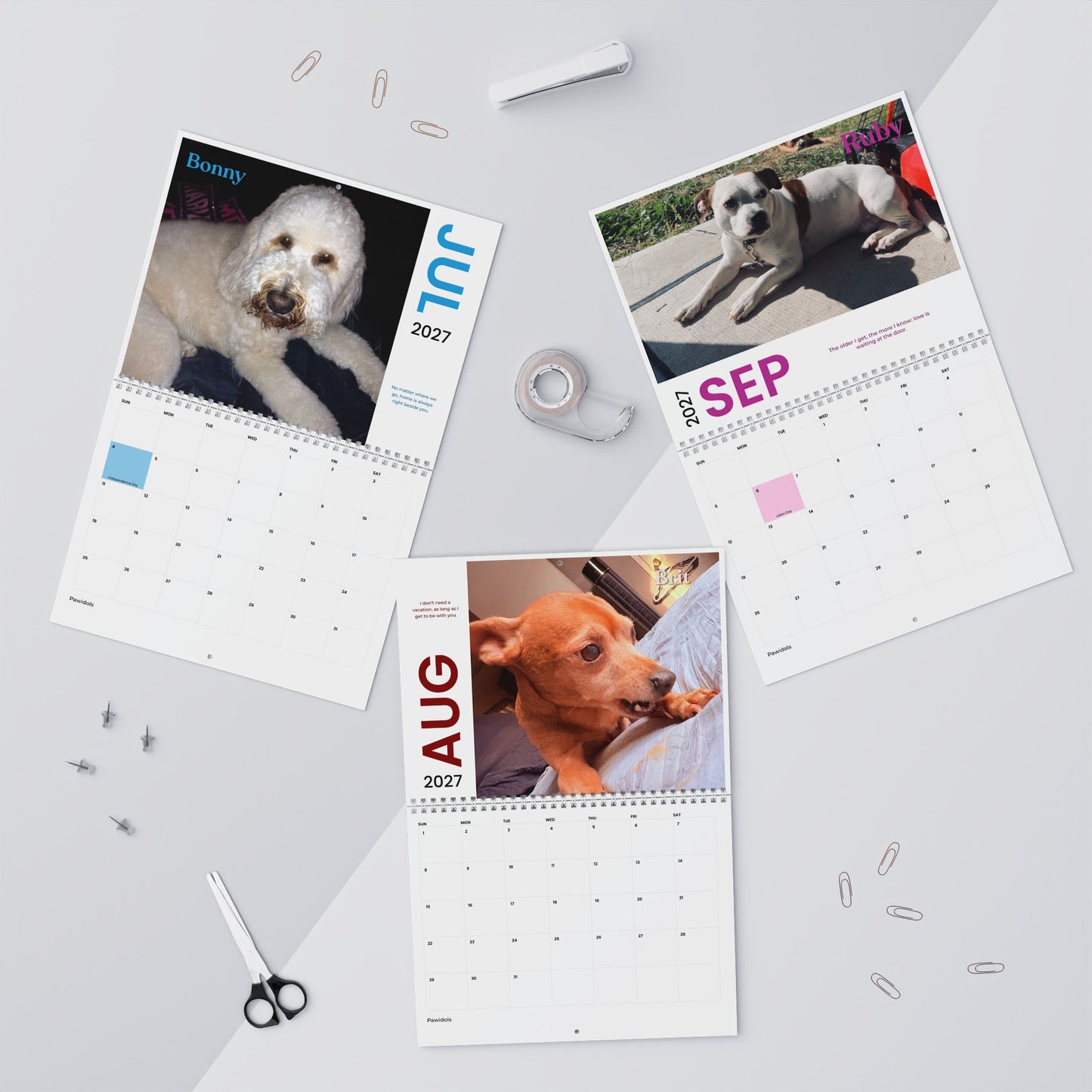 NEW Paw Calendar DOG October 2026 - September 2027