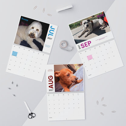 NEW Paw Calendar DOG October 2026 - September 2027