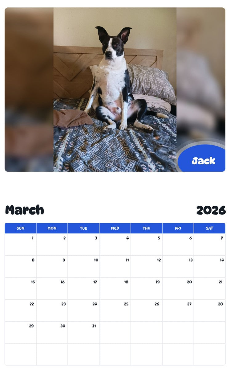 November 2025 - October 2026 Jack - Pawidols Pet Calendar