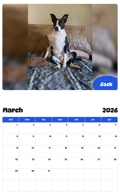 November 2025 - October 2026 Jack - Pawidols Pet Calendar