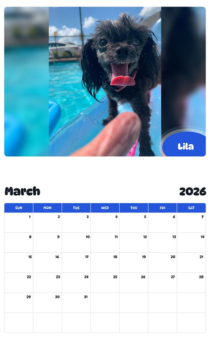 November 2025 - October 2026 Lila - Pawidols Pet Calendar