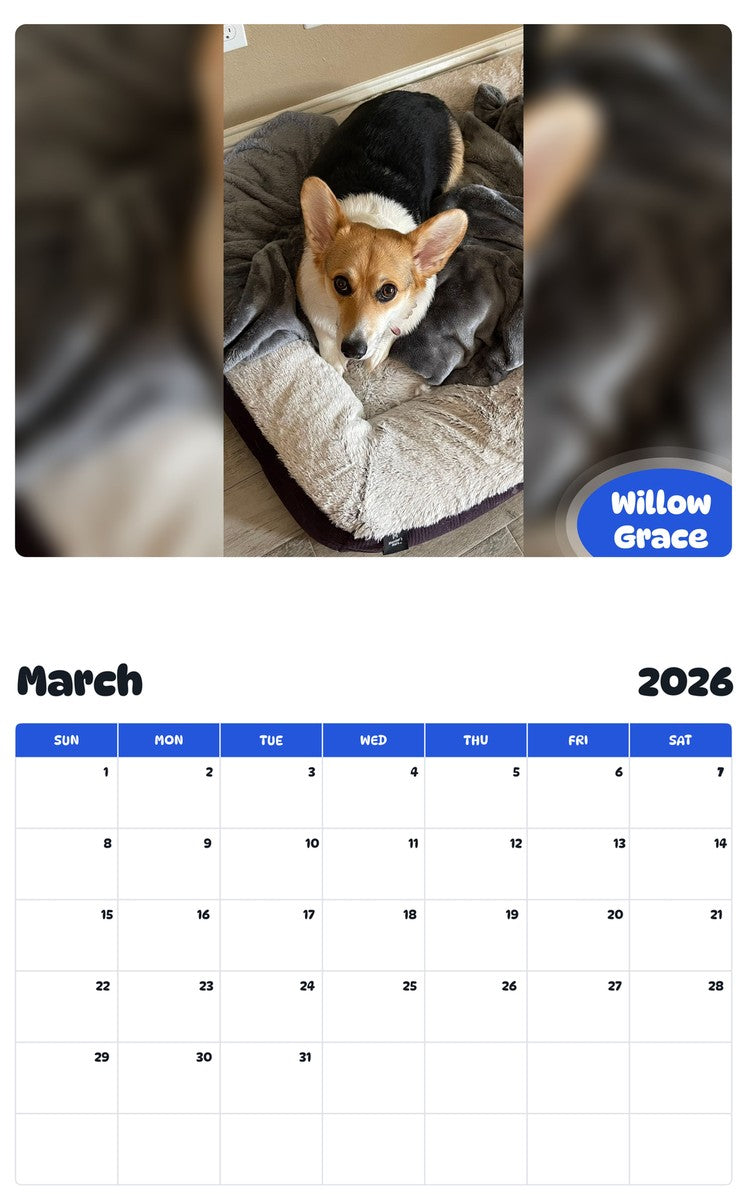 November 2025 - October 2026 Willow Grace - Pawidols Pet Calendar